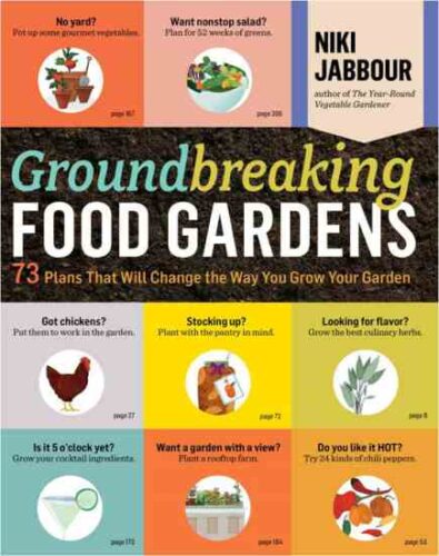 Urban Shade Garden Plan